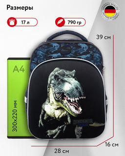 Школьный рюкзак SK1-16 - Steiner фото 2