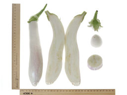 Баклажан Виталик - Партнер фото 5