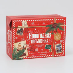 Цена за 2 шт. Пакет-коробка подарочный новогодний Посылочка, 28?20?13 см