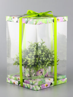 Коробка PVC, для цветов и букетов, с лентой, 28?18?18 см, зеленый