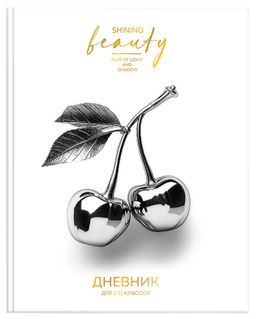 Дневник ун. 48 л. тв. обл. Schoolformat ХРОМ ВЕЩИ переплет. картон, гл.лам.