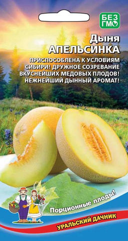Дыня АПЕЛЬСИНКА Приспособлена к условиям Сибири! Дружное созревание вкуснейших медовых плодов! Нежнейший дынный аромат!