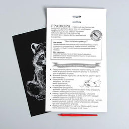 Цена за 3 шт. Гравюра на подложке «Енот» с металлическим эффектом «серебро» А4