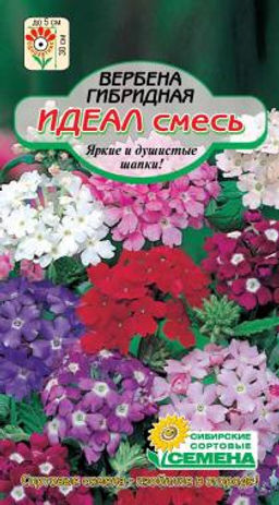 Идеал, смесь гибридная вербена 0,1гр (ссс)