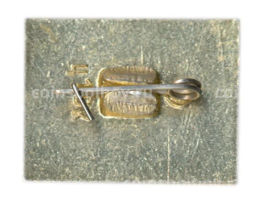 Значок Ясная Поляна