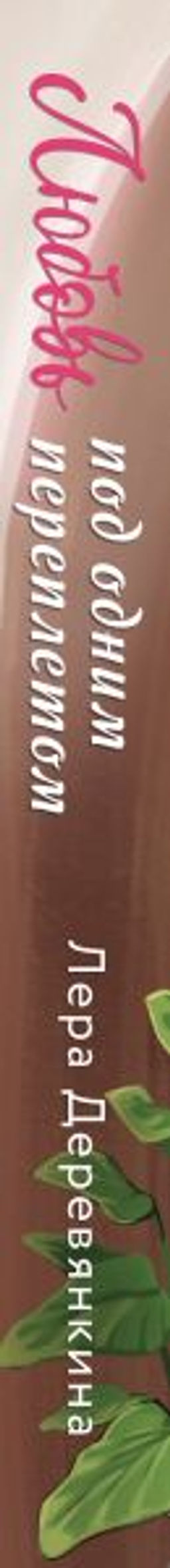 Любовь под одним переплетом