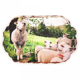 Подставка под горячее (панно) "Ферма" 14х22см h1см, керамика, фотопечать с глазурью, подложка пробковое дерево, в упаковке (Китай)