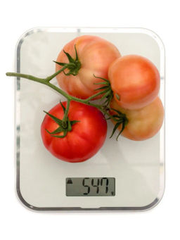 Томат Монополия - Партнер фото 6