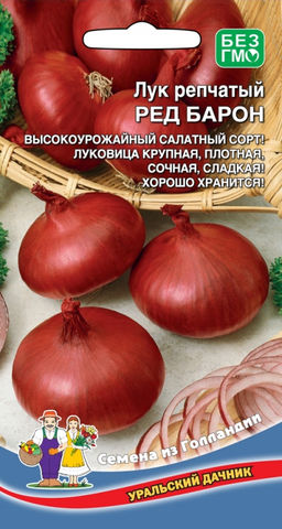 Лук репчатый РЕД БАРОН  Салатный сорт, высокоурожайный! Луковица крупная, сладкая, без горечи! Можно выращивать за один год! Великолепно хранится всю зиму!