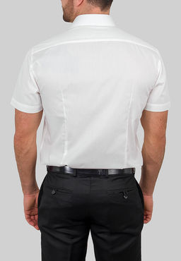 Сорочка мужская короткий рукав GREG 510/109/ALT/ZV  фото 3