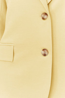 Limited Edition Sar? Regular Astarl? Dokuma Blazer Ceket TWOAW23BC00132