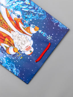 Цена за 2 шт. Пакет подарочный новогодний ламинированный, «Новогодний набор », 18×10×22.3 см