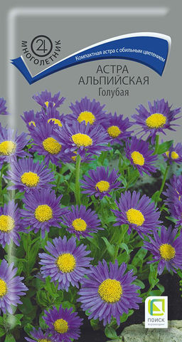 Астра альпийская Голубая (ЦВ) (М) 0,04гр. - Поиск фото 2