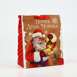 Пакет подарочный новогодний ламинированный «Почта Деда Мороза», ML 23×27×11.5 см