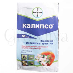 ЛТ Калипсо