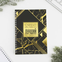 Подарочный набор: ежедневник, зарядное устройство, мод.РВ-01, «Ты - настояящий мужчина», 22.7×24.5 см.