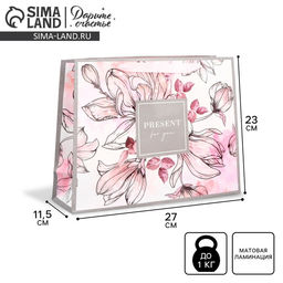 Цена за 2 шт. Пакет подарочный ламинированный, упаковка, «Present for you», ML 27×23×11.5 см