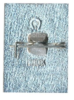 Значок Загорск