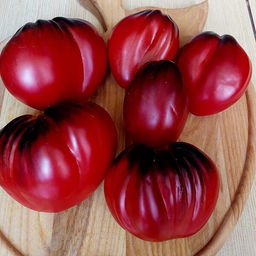 7125Т Томат Малиновые носики с. Пеппера 5шт