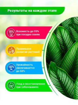 БИО-комплекс Суспензия Хлореллы Концентрат ( 500 мл)  фото 3