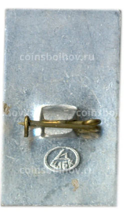 Значок Радищев