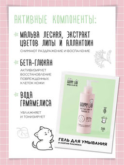 Happy Lab Набор средств для ухода за кожей лица Dream Face: Мицеллярная вода, гель для умывания, очищающая маска, 300 мл, 200 мл x 2