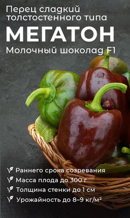 Перец МЕГАТОН МОЛОЧНЫЙ ШОКОЛАД F1