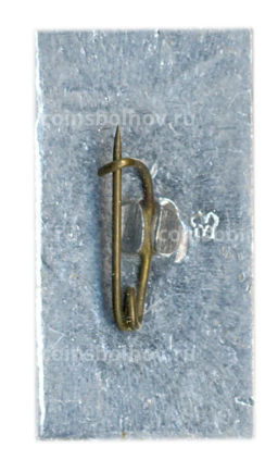 Значок ВИИГХ