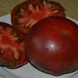 7039Т Томат Красный океан 10шт