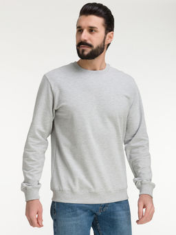 Свитшот мужской GREG G121-OZ02-28 (св.серый м.)  фото 7