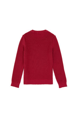 K_z _ocuk Koyu Frambuaz Bisiklet Yaka Basic Kazak - U.s. polo assn фото 2