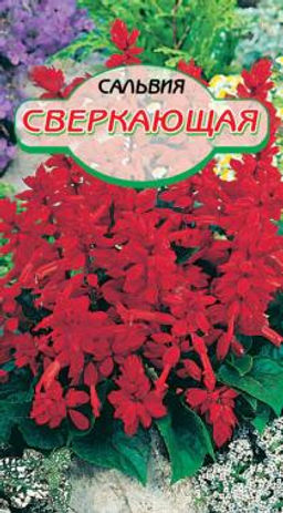 Сверкающая сальвия 0,1г (ссс)