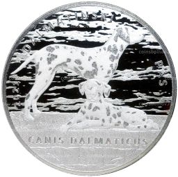 10 кун 2021 года Хорватия  Далматин