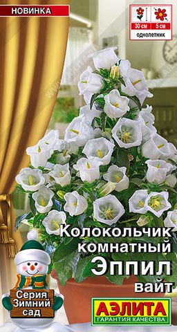 Колокольчик комнатный Эппил вайт (2028