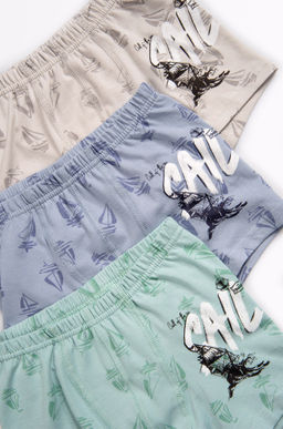 Трусы-боксеры для мальчика Donella  фото 3