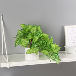 Искусственный цветок в горшке Диффенбахия элегант, 9?19 см, зелёный