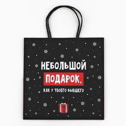 Пакет подарочный новогодний «Небольшой подарок», 22 х 22 х 11 см