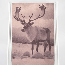 Полотенце махровое 6с102.413ж1 Фото-олень(т.с.мальв1) 81х160см