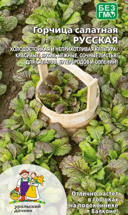 Горчица салатная РУССКАЯ Холодостойкая и неприхотливая культура! Красивые, яркие, нежные, сочные листья! Для салатов, бутербродов и солений!