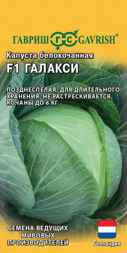 Галакси F1 капуста б/к 10 шт для хранения (г)