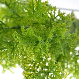 Зелень искусственная 34 см / WH-18 /уп 2/50/100/150/600/ - Галеонтрейд фото 3