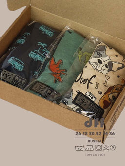 Комплект трусов для мальчика 3 шт. dff Тр 3000/11,14,17 Размер 32 - Sergio valentini фото 2