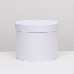 Коробка круглая белая, 25 х20 см