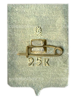 Значок Копейск