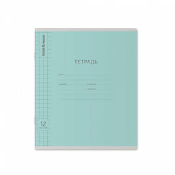 Цена за 280 шт. Тетрадь школьная ученическая ErichKrause Классика Visio ассорти, 12 листов, частая косая линейка (в плёнке по 10 шт.) фото 28