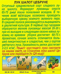 Лук шалот Цебруне 0,3г (Аэлита)