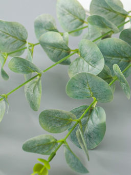 Цветы искусственные «Эвкалипт шёлковый», h=80 см, зелёные