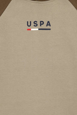 Свитшот для мальчика U.S. Polo Assn цвета хаки из хлопка  фото 3