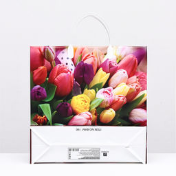 Цена за 10 шт. Пакет «Весенний букет», мягкий пластик, 28.5×30 см, 100 мкм