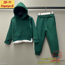 Костюм спортивный с начесом